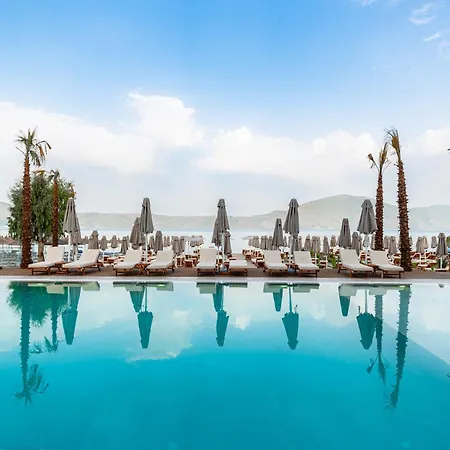 Morina Vlore